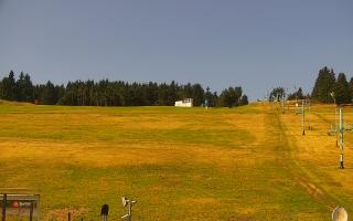 Zieleniec PTZ #2 Winterpol - 30-07-2026 08:03