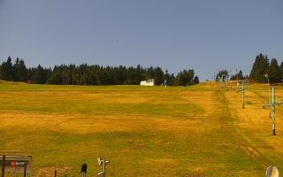 Zieleniec PTZ #2 Winterpol - 30-07-2026 08:11