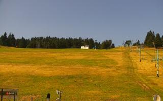 Zieleniec PTZ #2 Winterpol - 30-07-2026 08:19