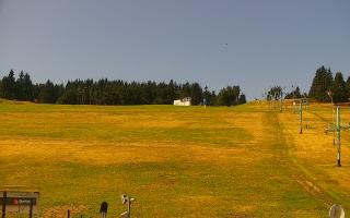 Zieleniec PTZ #2 Winterpol - 30-07-2026 08:42