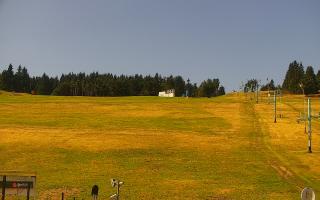 Zieleniec PTZ #2 Winterpol - 30-07-2026 08:50