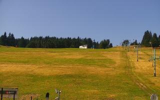 Zieleniec PTZ #2 Winterpol - 30-07-2026 08:57