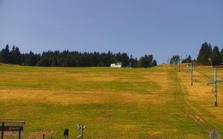 Zieleniec PTZ #2 Winterpol - 30-07-2026 09:05