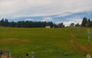 Zieleniec PTZ #2 Winterpol - 17-10-2026 09:18