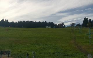 Zieleniec PTZ #2 Winterpol - 17-10-2026 11:29