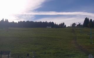 Zieleniec PTZ #2 Winterpol - 17-10-2026 12:47