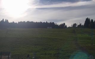 Zieleniec PTZ #2 Winterpol - 17-10-2026 13:02