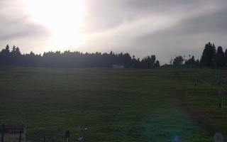Zieleniec PTZ #2 Winterpol - 17-10-2026 13:18