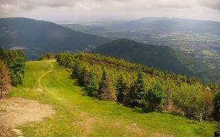 COS Szczyrk Skrzyczne - 17-06-2025 08:47