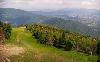 COS Szczyrk Skrzyczne - 17-06-2025 09:10