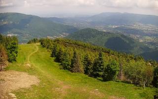 COS Szczyrk Skrzyczne - 17-06-2025 09:18
