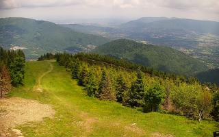 COS Szczyrk Skrzyczne - 17-06-2025 09:57