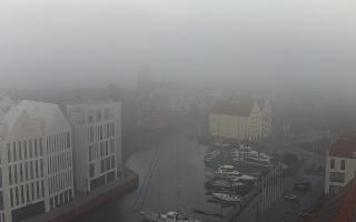 Gdańsk Motława - 08-11-2025 06:19