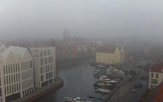 Gdańsk Motława - 08-11-2025 06:34