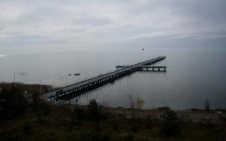 Jurata Molo - 02-11-2025 10:30