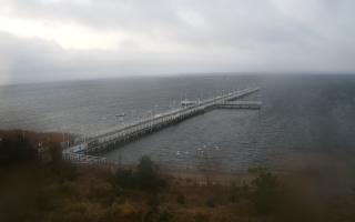 Jurata Molo - 21-11-2025 06:22