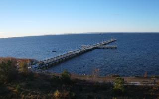 Jurata Molo - 22-11-2025 07:48