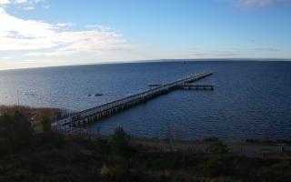 Jurata Molo - 22-11-2025 08:41