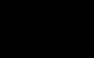 Jurata Molo - 18-12-2025 06:18