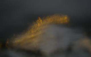 Jurata Molo - 14-01-2026 15:09