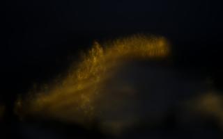 Jurata Molo - 14-01-2026 15:20