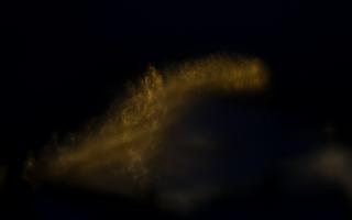 Jurata Molo - 14-01-2026 15:25