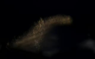 Jurata Molo - 14-01-2026 15:31