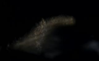 Jurata Molo - 14-01-2026 15:36