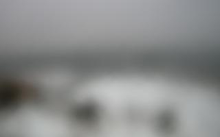 Jurata Molo - 16-01-2026 07:26