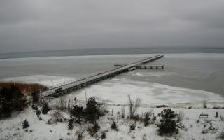 Jurata Molo - 23-01-2026 10:36