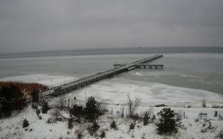 Jurata Molo - 26-01-2026 10:41