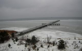 Jurata Molo - 26-01-2026 10:46