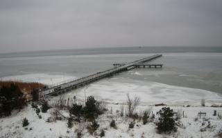 Jurata Molo - 26-01-2026 11:08