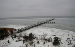 Jurata Molo - 26-01-2026 11:13