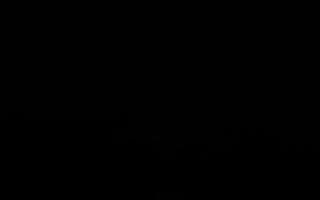 Jurata Molo - 27-01-2026 06:06