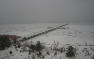 Jurata Molo - 27-01-2026 06:28