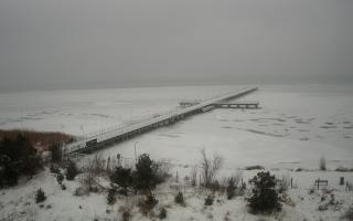 Jurata Molo - 27-01-2026 06:33