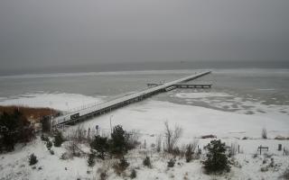 Jurata Molo - 27-01-2026 12:39