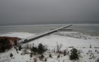 Jurata Molo - 27-01-2026 12:50