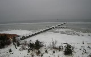 Jurata Molo - 27-01-2026 13:11