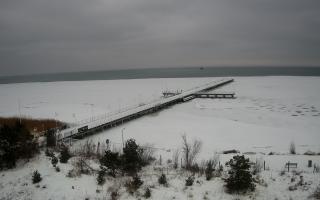 Jurata Molo - 28-01-2026 09:31