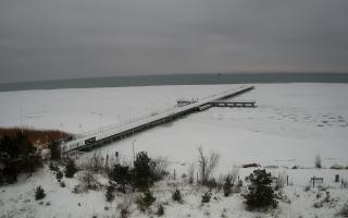 Jurata Molo - 28-01-2026 09:36