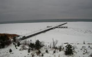 Jurata Molo - 28-01-2026 09:42