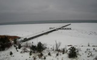 Jurata Molo - 28-01-2026 09:52