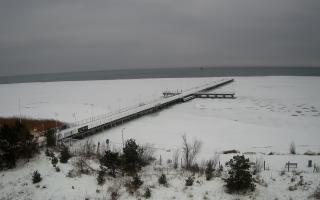 Jurata Molo - 28-01-2026 10:03