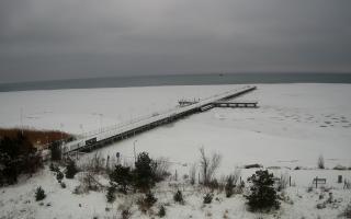 Jurata Molo - 28-01-2026 10:08