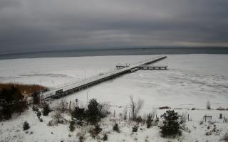 Jurata Molo - 29-01-2026 10:51