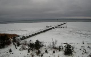 Jurata Molo - 29-01-2026 11:07