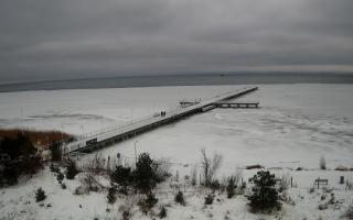 Jurata Molo - 29-01-2026 11:13