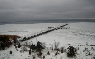 Jurata Molo - 29-01-2026 11:23